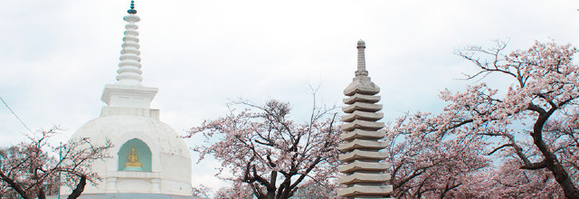 三内霊園